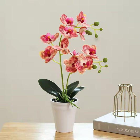 Creative 11 Heads Phalaenopsis Bonsai Simulation Flower Fake Flower Pot Garden dining table Indoor Outdoor Decoration